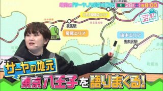 2024年12月28日午後8時にNHK・Eテレで放送予定の「沼にハマってきいてみた」の予告で八王子のエリアについてそれぞれの地域事情を解説