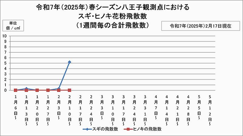 2025年1月から2月にかけてのスギ花粉・ヒノキ花粉の飛散数グラフ