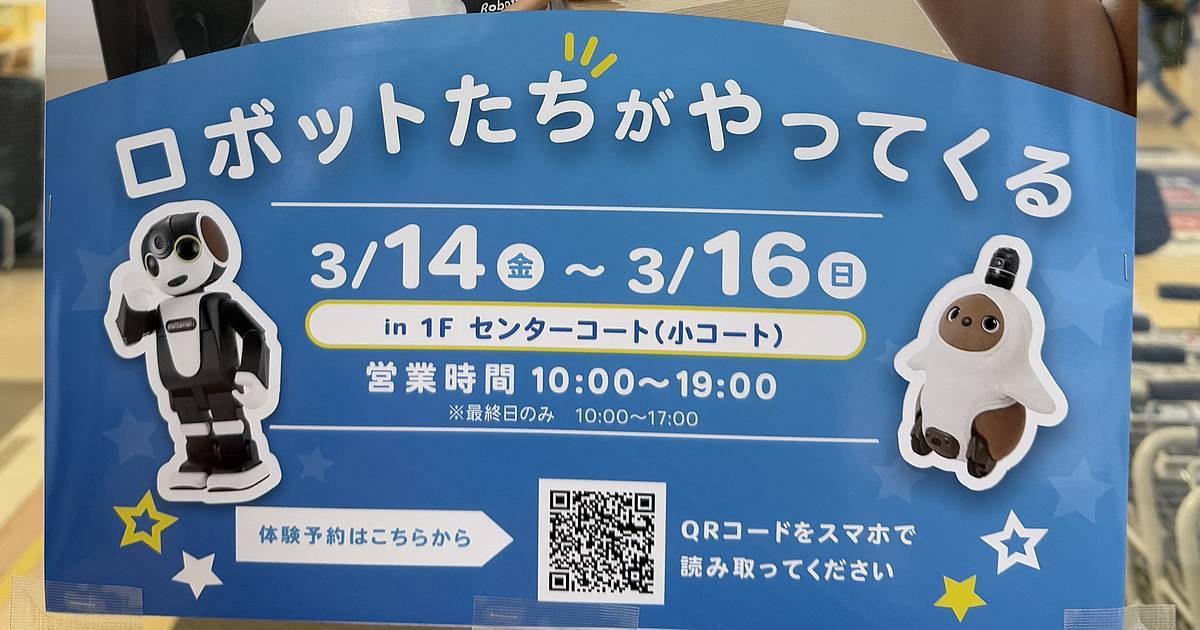 LOVOTとロボホンが体験＆販売会が3/14〜16にイトーヨーカドー南大沢で開催