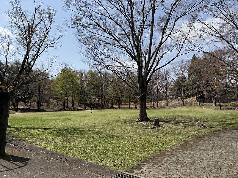 南大沢夏まつりの会場となる大平公園の原っぱ広場