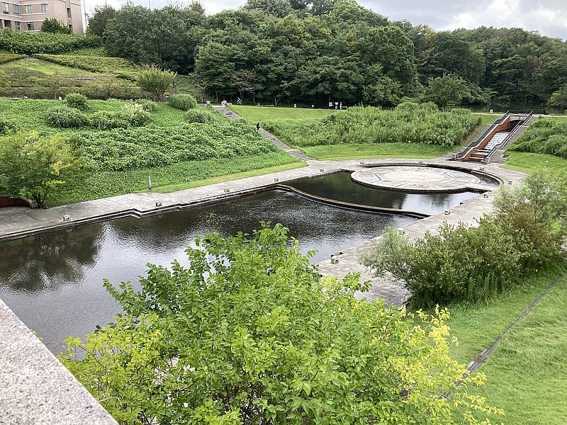 長池公園の様子