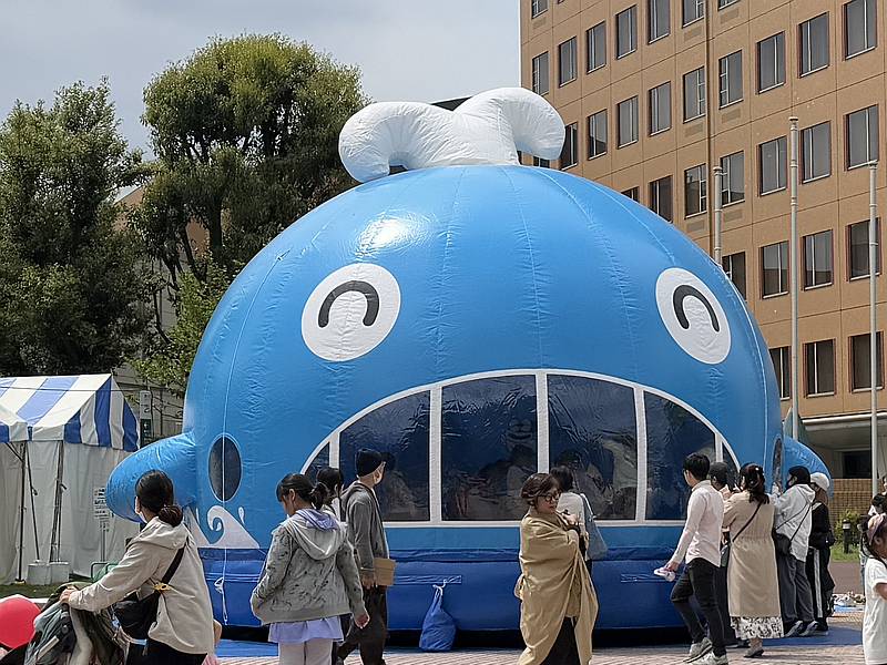 由木フラワーフェスティバルや南大沢市民センターまつりで登場するふわふわくじらの水族館のエアープール