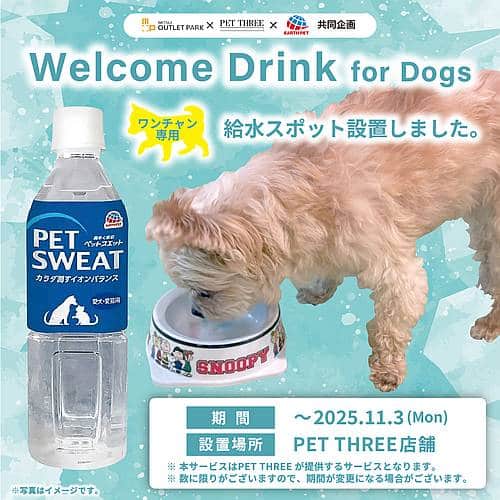 2025年10月7日から12月3日まで期間限定オープンするPET THREE(ペットスリー)では、愛犬用の給水スポットが11月3日までポップアップストアに設置