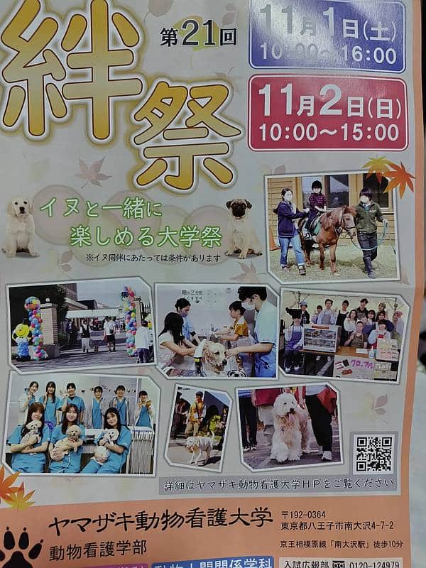 2025年11月1日、2日に行われるヤマザキ動物看護大学の学園祭「第21回絆祭」のチラシ表面