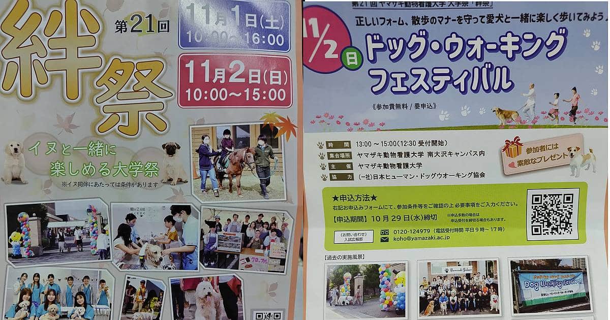 ヤマザキ動物看護大学の絆祭2025が11月1,2日に開催！愛犬といっしょに楽しめる学園祭