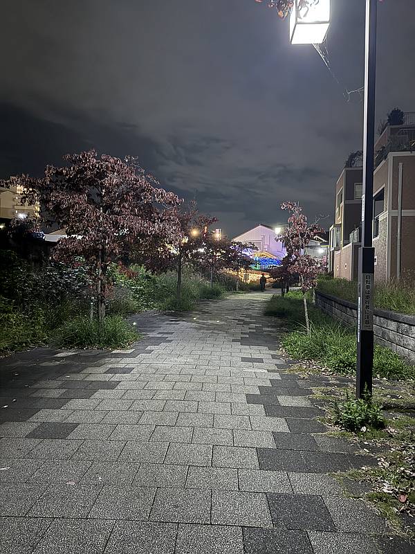 南大沢の遊歩道から三徳プラザ商店会のエリアでイルミネーションが点灯している様子を確認