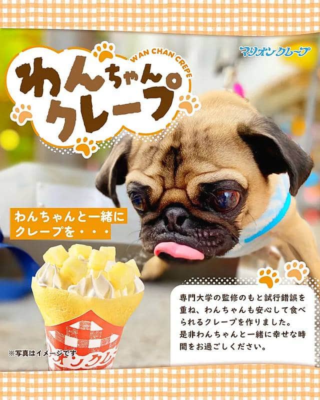 三井アウトレットパーク多摩南大沢に2025年11月6日(木)から11月21日(金)に期間限定出店しているマリオンクレープでは特別メニューとして愛犬が食べられるワンちゃんクレープを提供