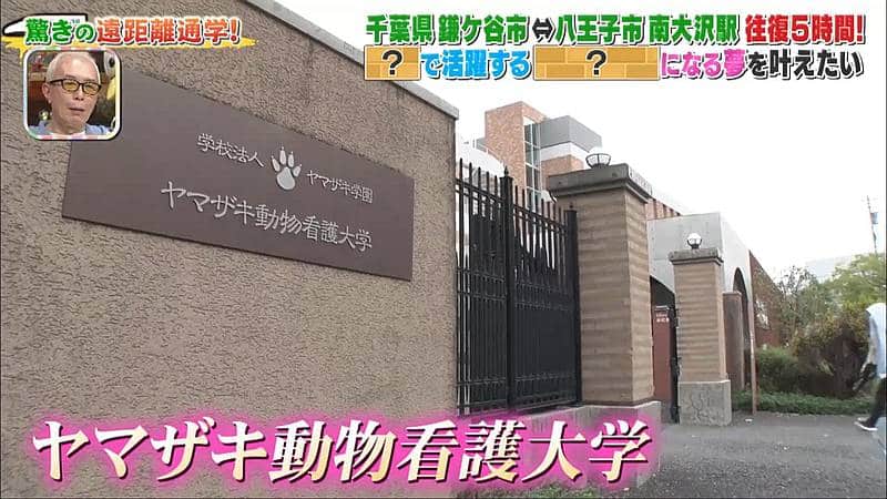 2026年1月1日元日に放送された「所さんの学校では教えてくれないそこんトコロ！」の「遠距離通学」で遠距離通学生が通うのは南大沢にあるヤマザキ動物看護大学と判明