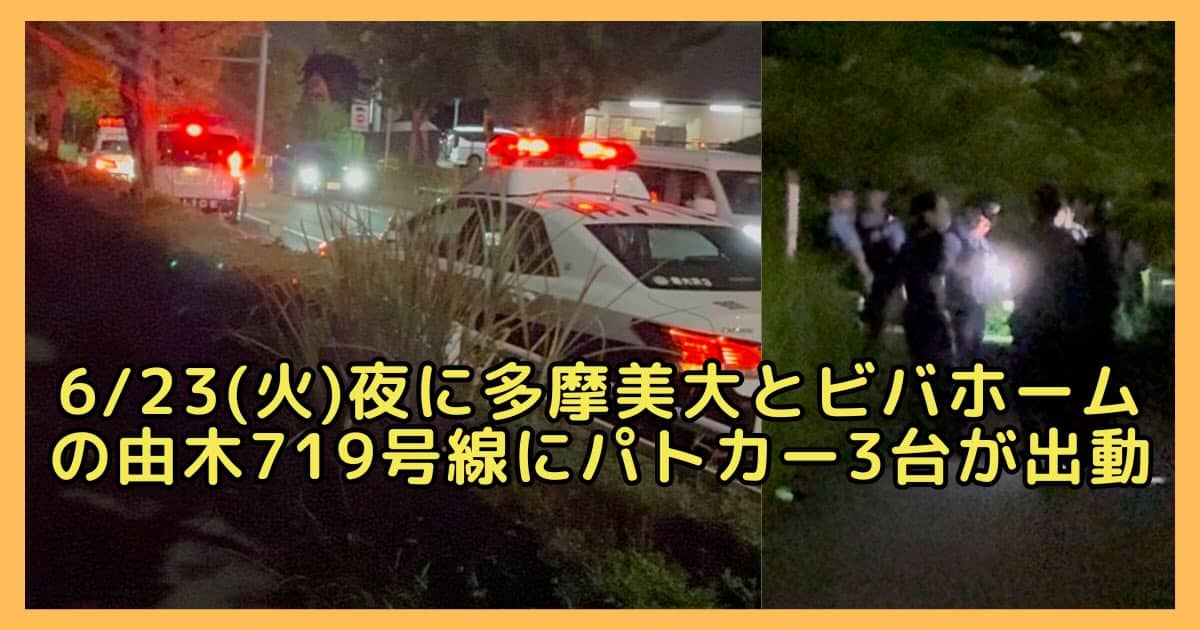 2026年6月23日(火)の夜20時過ぎに、八王子市鑓水の多摩美術大学周辺の道路にパトカーが複数台出動する事態が発生
