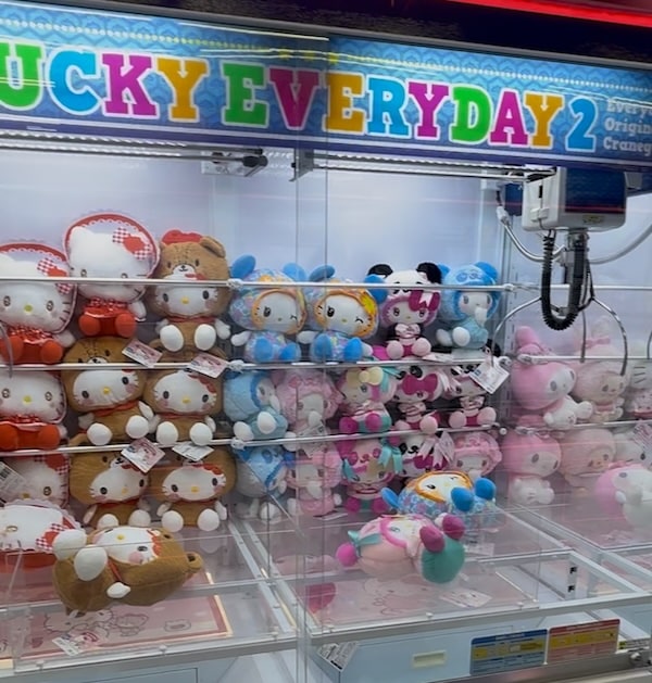 多摩センターにはサンリオピューロランドがあるため、エブリデイ多摩ノ国のクレーンゲームの景品にはサンリオのぬいぐるみが多数設置