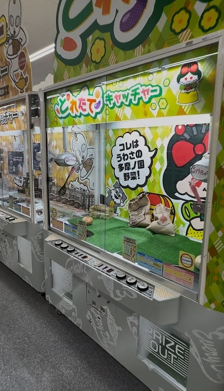 クレーンゲーム専門店「エブリデイ多摩ノ国」には野菜が景品のクレーンゲームも