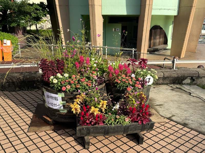上柚木中学校学運協のコンテナガーデン。番号7、ピンクと赤の花