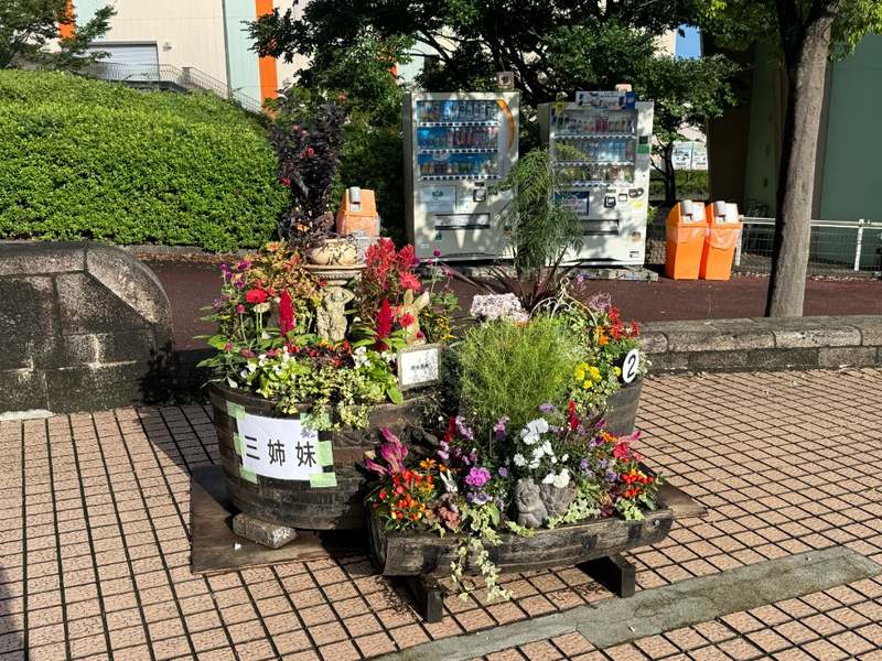 コンテナガーデン「三姉妹」。番号2、赤い鶏頭と動物の置物