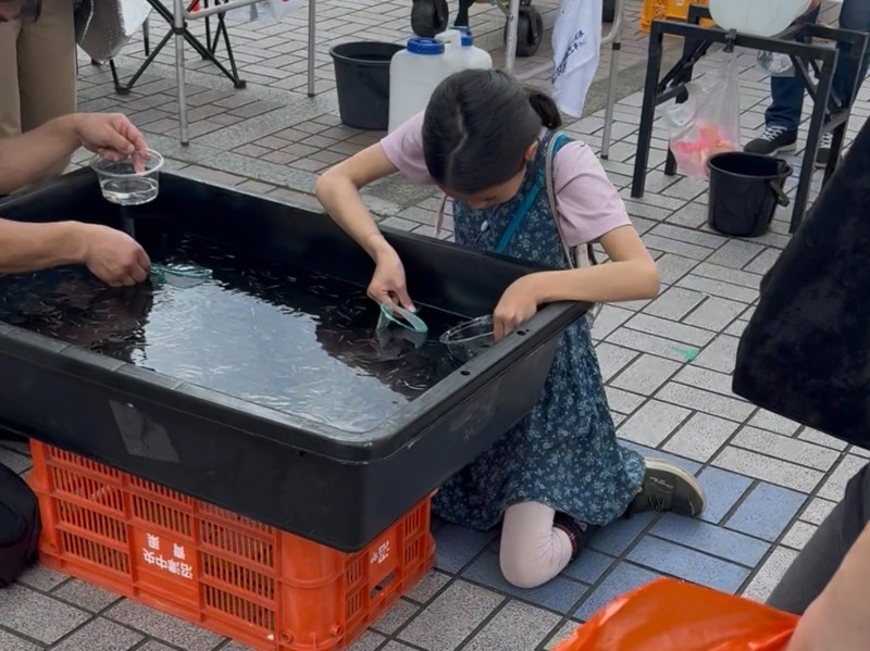 南大沢めだかフェスでめだかすくいにチャレンジする子ども
