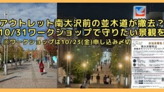 三井アウトレットパーク多摩南大沢のリニューアルで、南大沢駅前遊歩道の並木道が伐採されるという噂あり。並木道を守るために10月31日のワークショップで八王子市に南大沢住民の声を届けよう