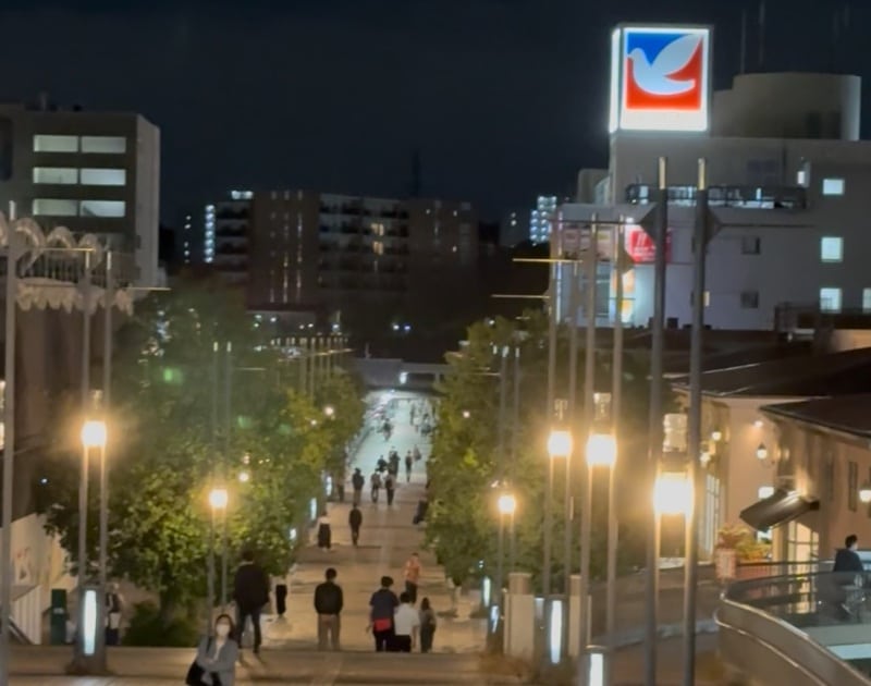 街灯がともる夜の南大沢駅前遊歩道の並木道