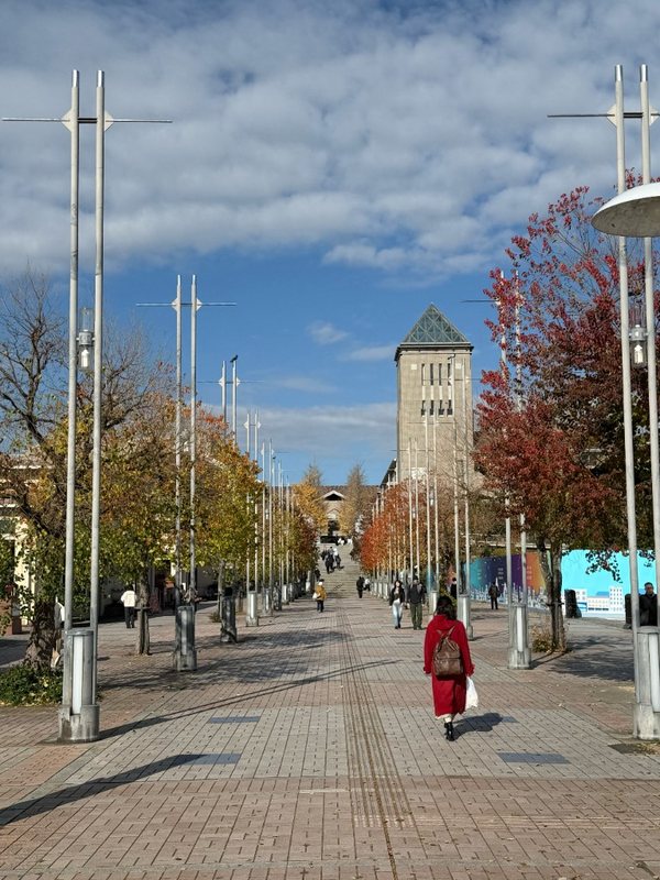 南大沢駅側から見たシンメトリーな並木道と紅葉