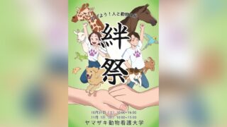 ヤマザキ動物看護大学の第22回絆祭（10月31日・11月1日開催）のパンフレット表紙