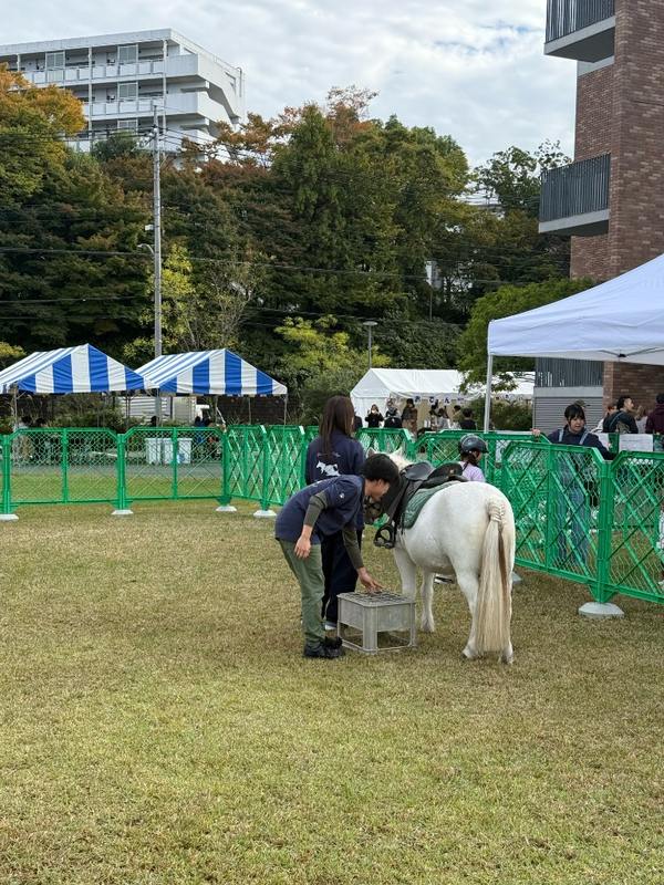 絆祭2025の乗馬体験で馬に乗る子ども